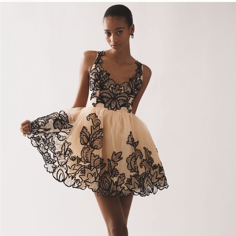 Maeve sleeveless v-neck lace fit & flare mini dress